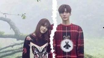 吃瓜林品如,揭秘娱乐圈背后的真实故事