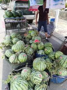 禹州卖房吃瓜事件,一场房产交易中的意外风波