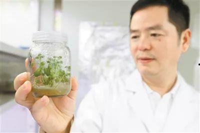 异常兴奋吃瓜群众,揭秘异常兴奋的吃瓜群众现象