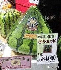 满世界吃瓜群众,满世界吃瓜群众的热点追踪