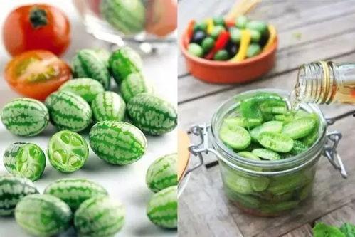 吃瓜食用指南,轻松解锁夏日消暑新姿势