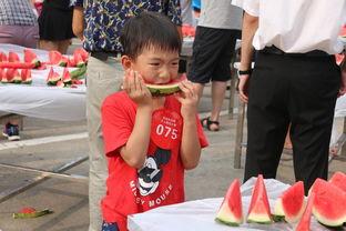 吉尼斯吃瓜,挑战极限的吃瓜盛宴